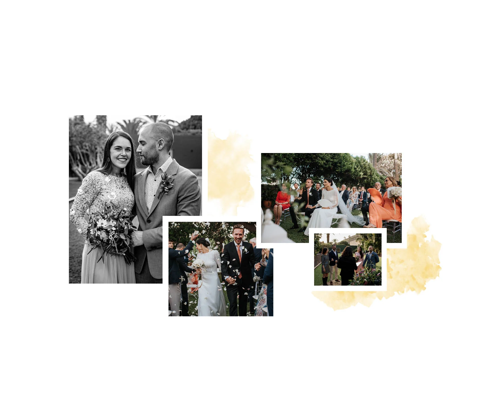 Acidalia Nuez Ceremonia - Detalle 2